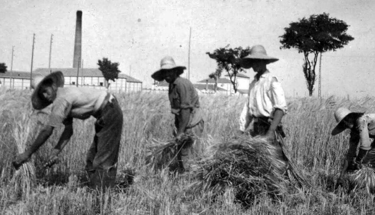 La República y los accidentes de trabajo de los agricultores