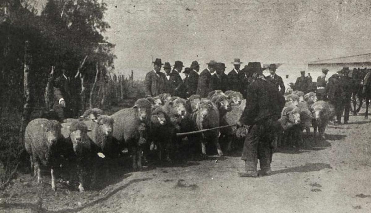 Asociación General de Ganaderos del Reino